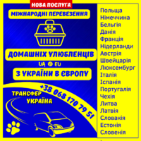 Трансфер Україна - міжнародні пассажирські перевезення Україна - Європа