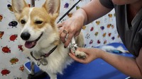 Ветеринарна клініка Hab Vet