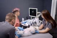 Ветеринарна клініка Hab Vet