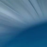 СГ ТАС Всі види страхування