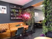Flowering coffee gallery