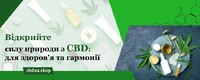 CBDua Shop — Офіційний магазин олій CBD, грибів та мармеладу