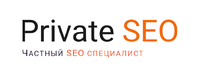 Частный SEO-специалист Владимир Савчук логотип